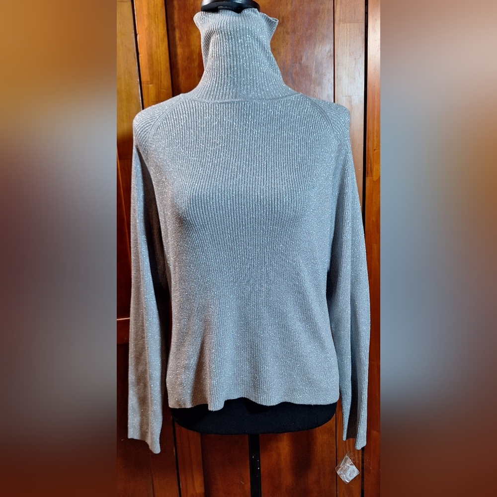 NWOT HILLARD & HANSON Turtleneck Sweater
